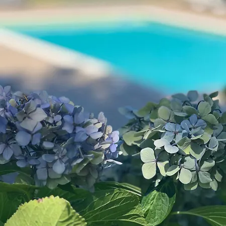 Casa Moinho Da Mouta 公寓