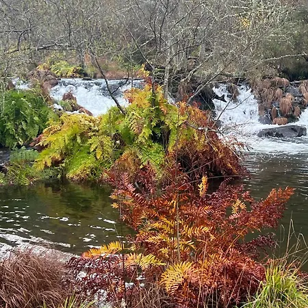 Casa Moinho Da Mouta Appartamento *