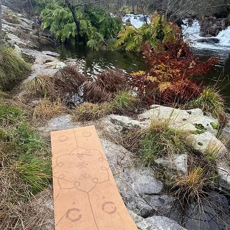 公寓 Casa Moinho Da Mouta *