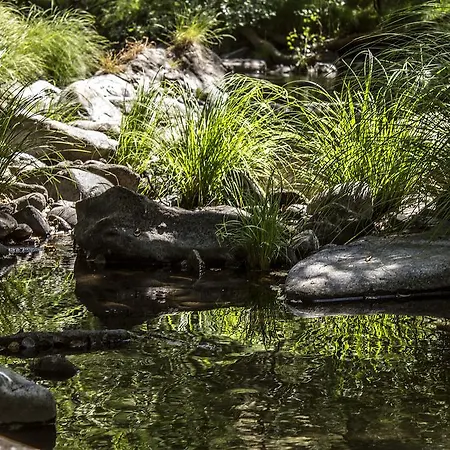 Casa Moinho Da Mouta *