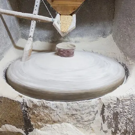 Casa Moinho Da Mouta *