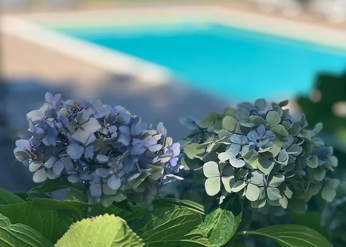 Casa Moinho Da Mouta 아파트