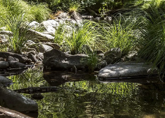 Casa Moinho Da Mouta *